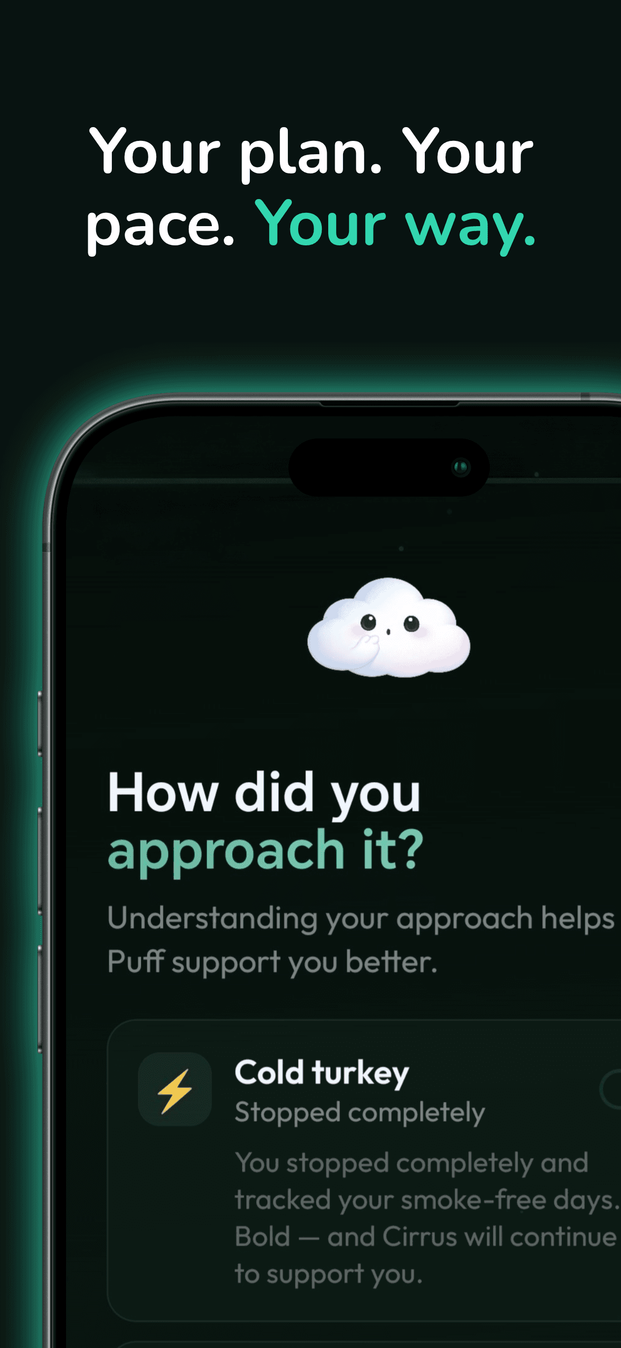 Personalisation — choose your quit approach, your pace, your way